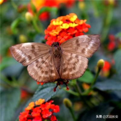 超级联盟360版本下载
