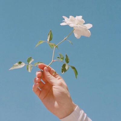 怒焰战歌手游下载